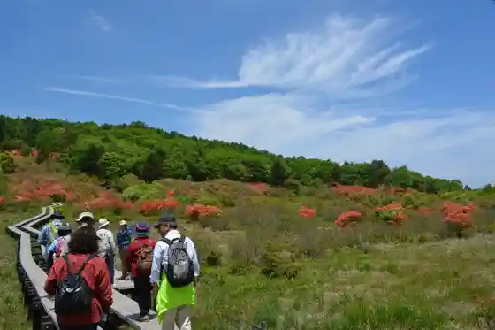 Yokone Highlands and Ido Marsh
