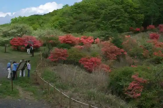 Kobugahara Highland