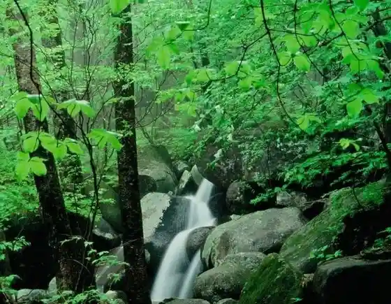 Five-Tier Falls