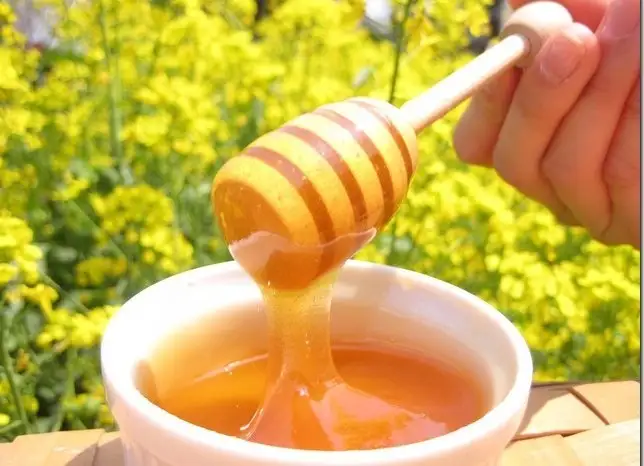 Kuroda Bee Farm and Pancake Caffe HoneyB