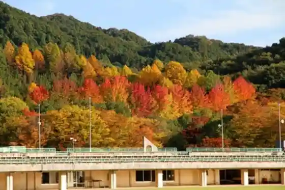 Kanuma Sports Park