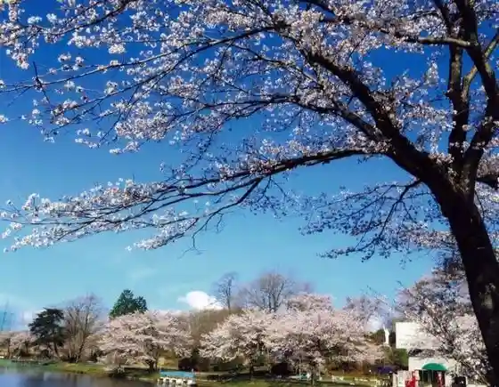 Kanuma Nishikigoi Park