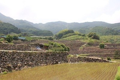 Warabino Rice Terraces