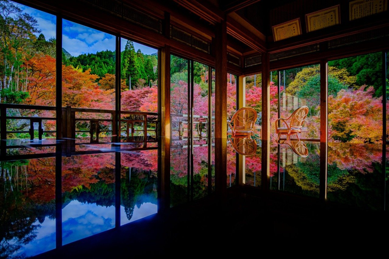 Kankyo Geijutsu no Mori