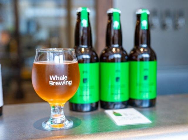 Whale Brewing Yobuko