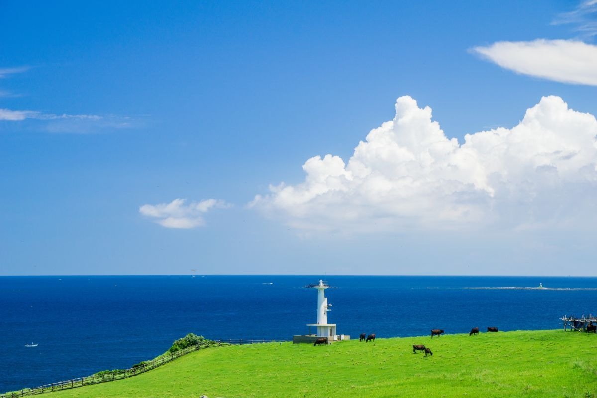 Suginohara Pasture