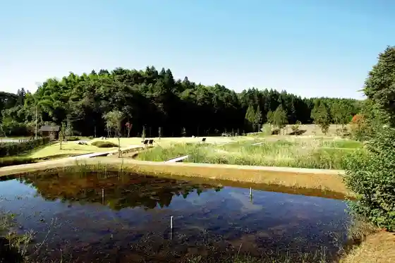 Kariwa Araike Shizenkansatsu Park