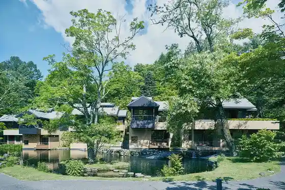 Hoshinoya Karuizawa, a valley resort of detached guest villas with water-, forest-, and garden-facing room types.