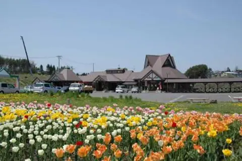 Mill Miru House