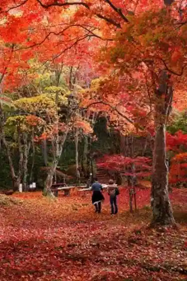 Kyotofuritsu Kasagi Yama Nature Park