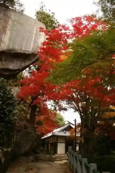 Kasagi Tera (Gyoba Meguri)