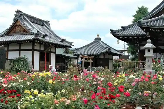 Ofusa Kannon