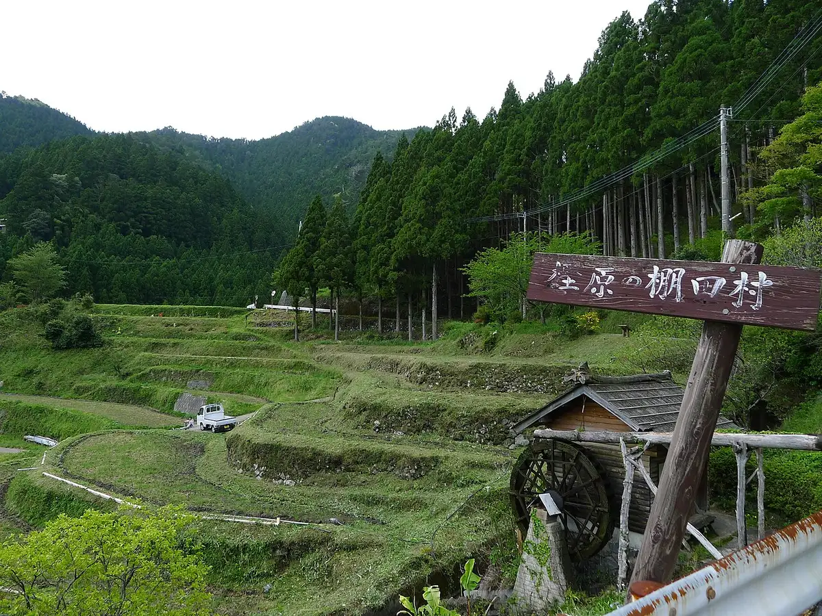 Kashihara rice terraces, Kamikatsu Town