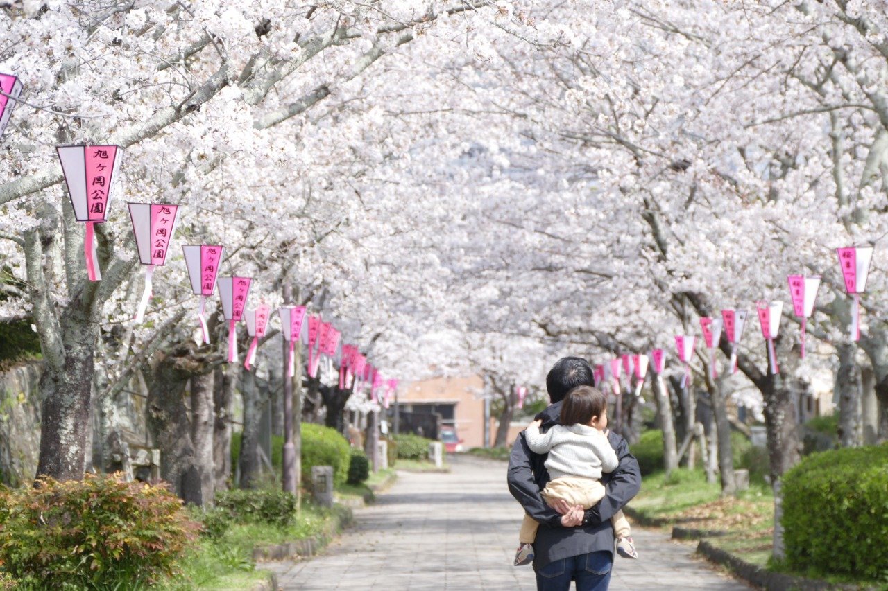 Asahigaoka Park