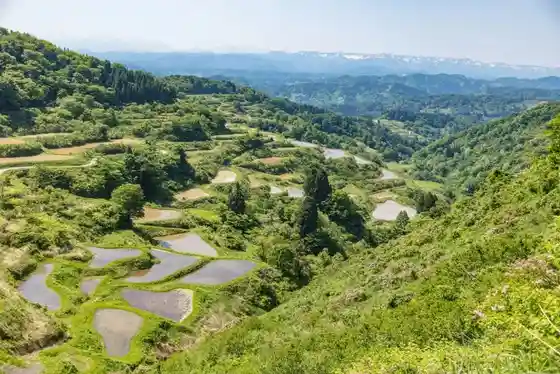 Hanasaka no Tanada