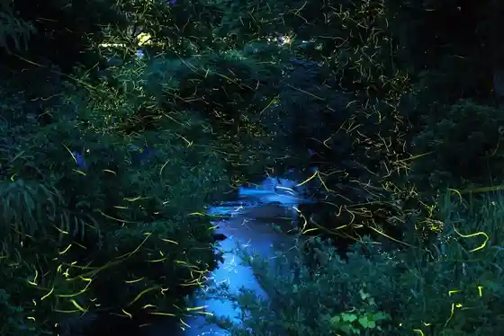 Kashiwazaki Ukawa Chiku