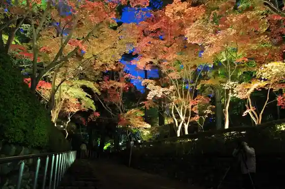 Kinshu no Echigo Teien Meguri Autumn Leaves to Umiyama no Sachi Yuttari Mankitsu Kosu