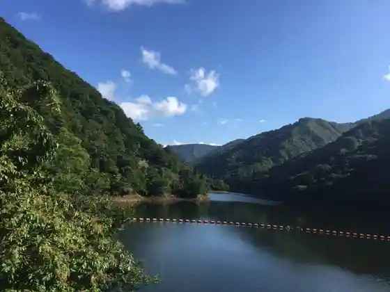 Tani Ne Dam