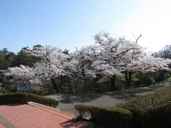 Akasaka Yama Park