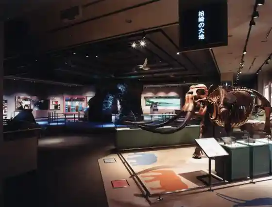 Kashiwazaki Ritsu Museum