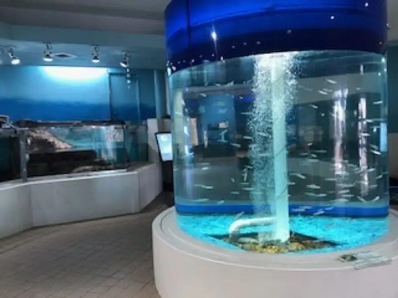 Kasumigaura Aquarium