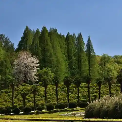 Osaka Koritsu Daigaku Fuzoku Botanical Garden