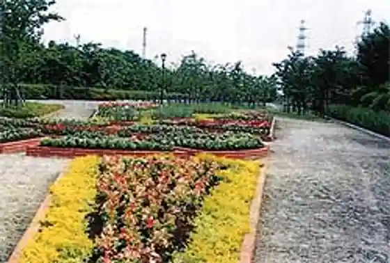 Kawagoe Green Park