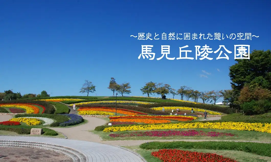 Naraken Ei Umami Kyuryo Park