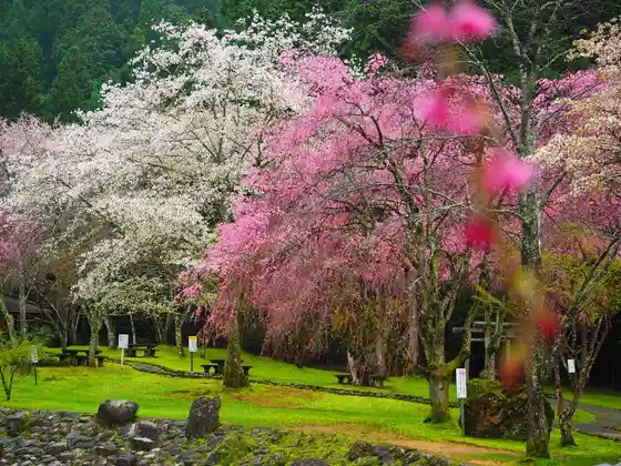 Akitsu no Ono Park