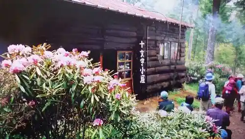 Jumonji Pass