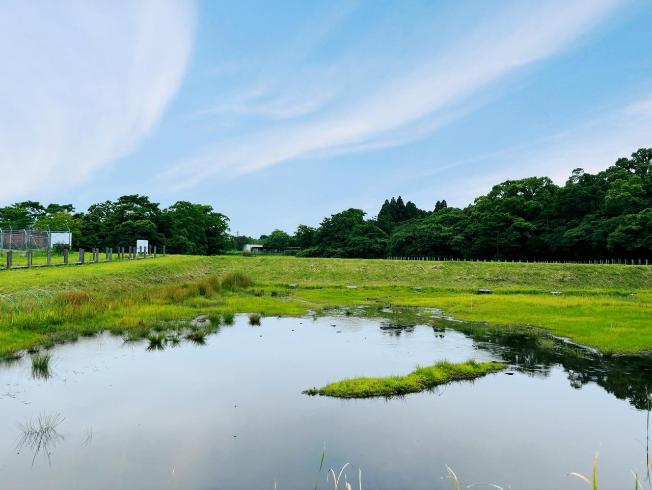 Kawaminami Wetland Plant Community