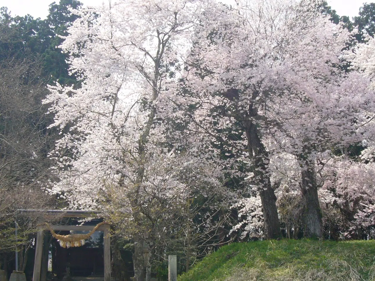 Shinzan Shrine (Komatsu Joshi)