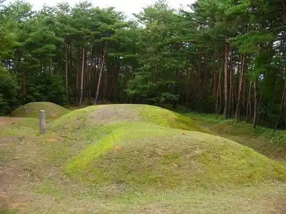Shita Komatsu Kofungun
