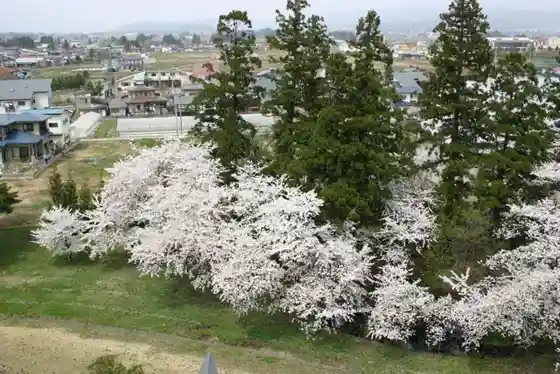 Tenjinmori Kofun