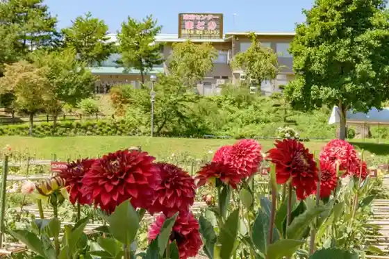 Kawanishi Onsen Kawa Nishimachiyokuyoku Center Madoka