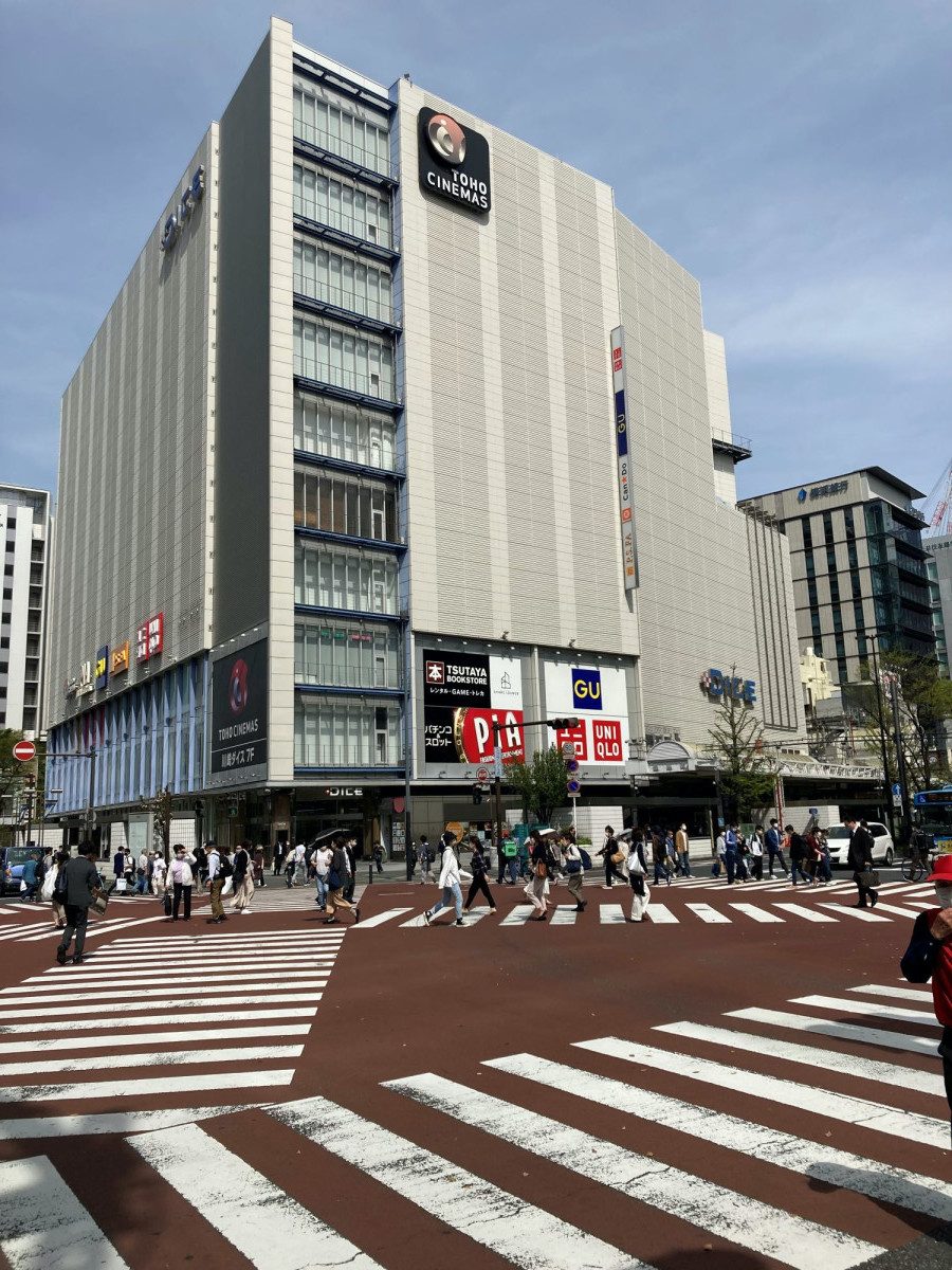 Kawasaki DICE