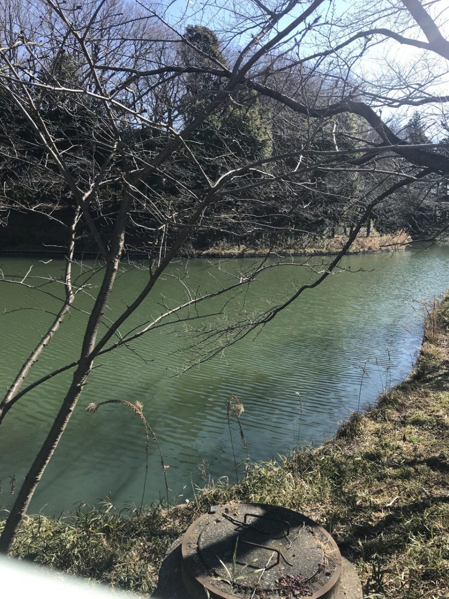 Kaguchi-no-ike and Keshomen-dani Park