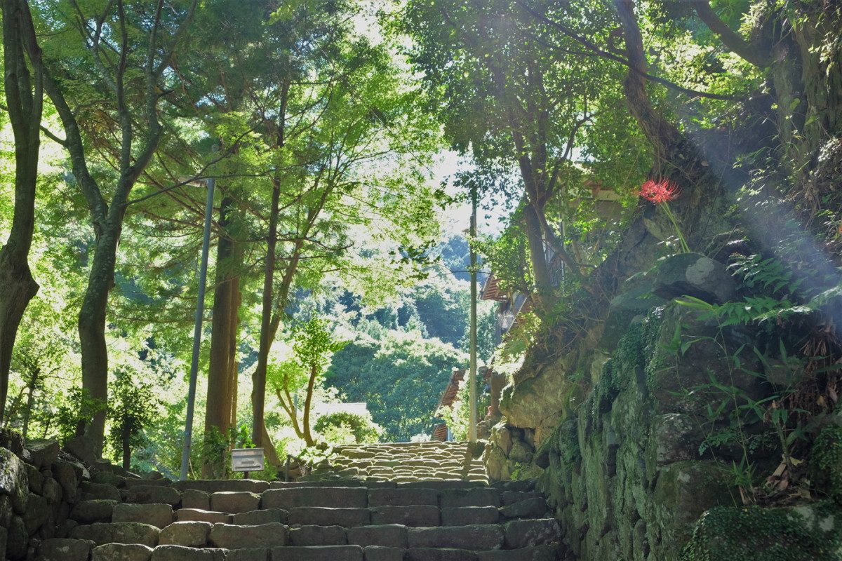 Oyama Kaido