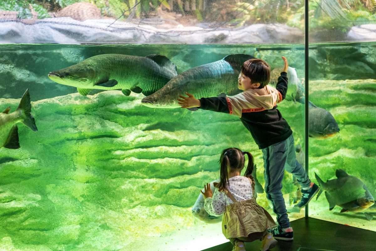 Kawasui Kawasaki Aquarium