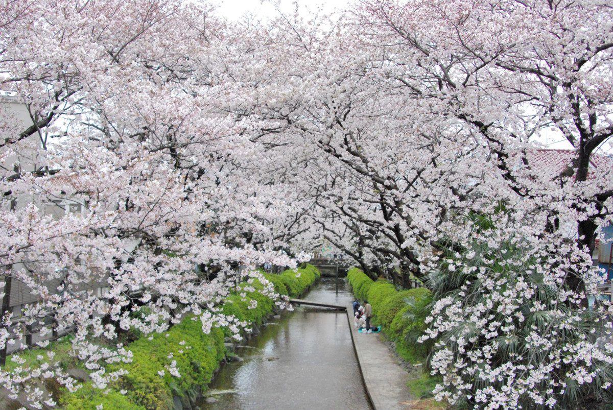 Promenade along the Nikaryo Canal