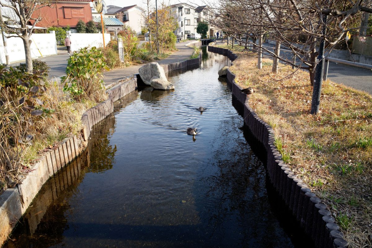Egawa Seseragi Promenade