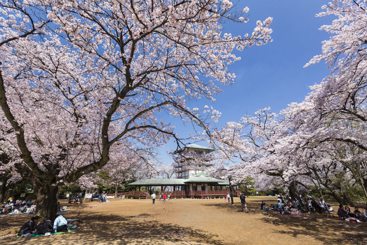 Ikuta Ryokuchi Park