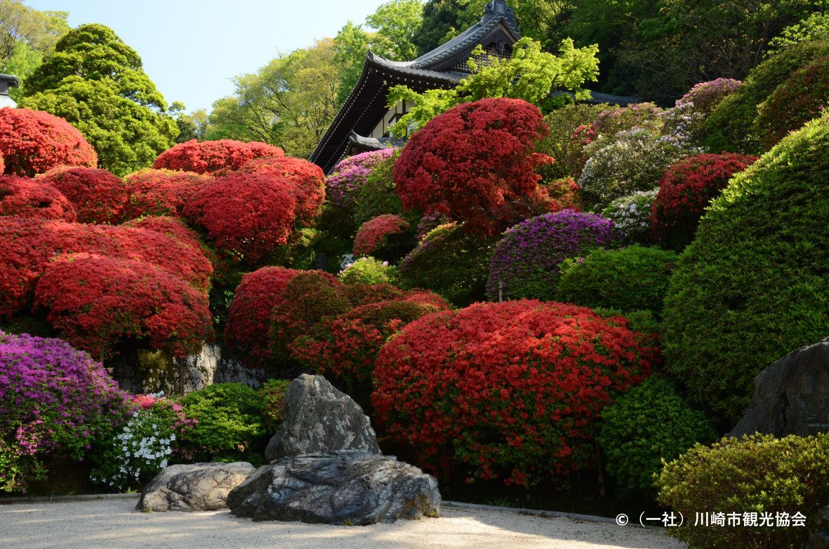 Togaku-in (Azalea Temple)