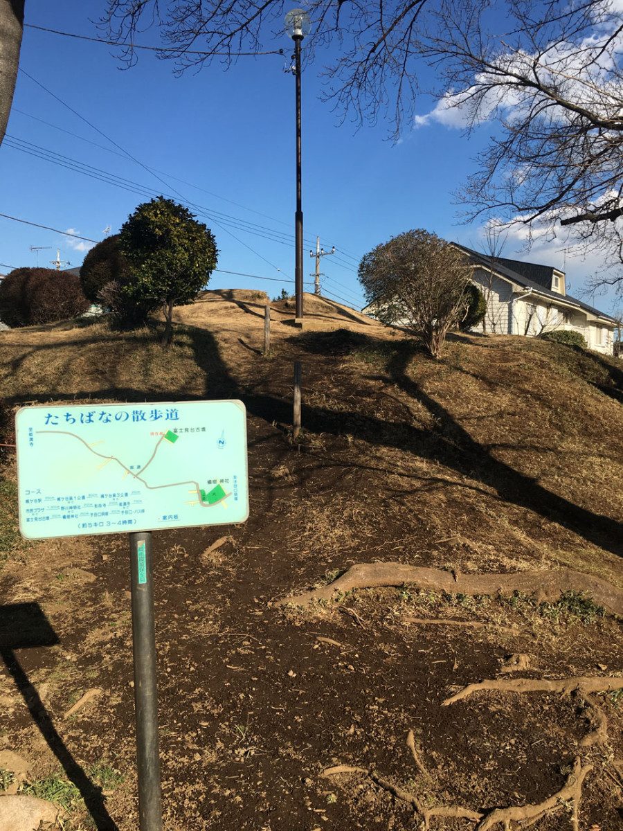 Tachibana Shrine and Fujimidai Burial Mound