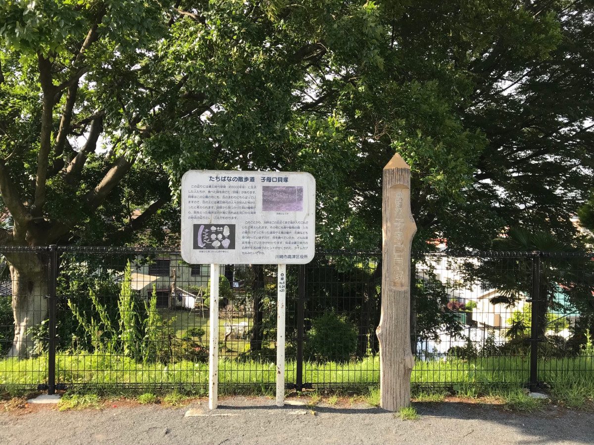 Shiboguchi Shell Mound