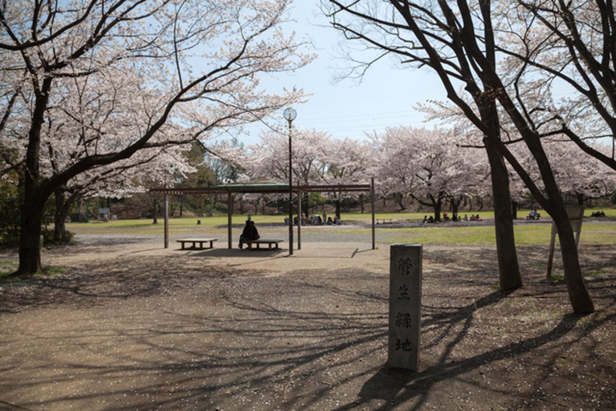 Sugo Green Space