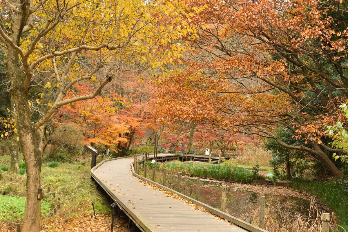Kanagawa Prefectural Higashitakane Forest Park