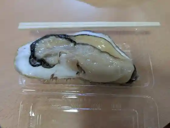 魚介類 濱喜