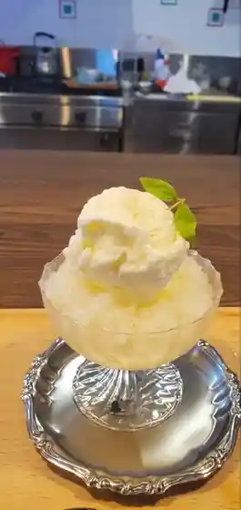 cafe みんなの木