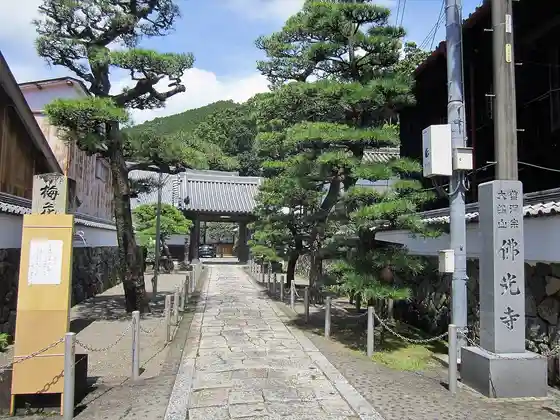 Bukko Tera